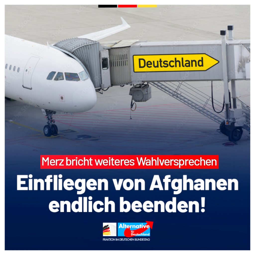 AfD Afghanen keine Einreise