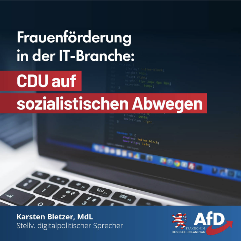 AfD CDU auf Sozialistischen Abwegen