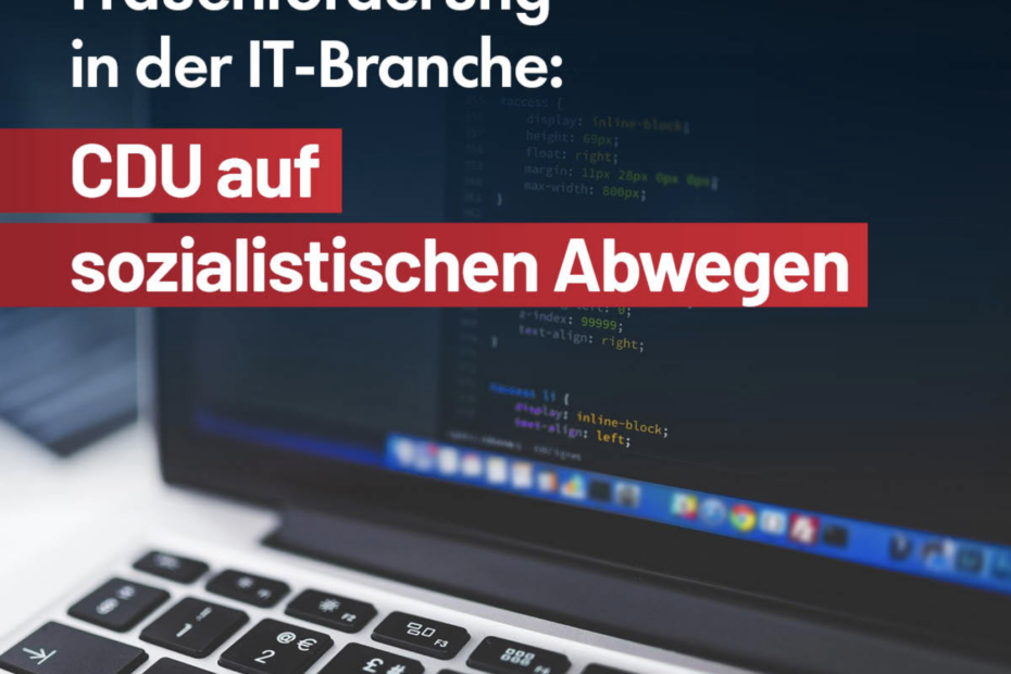 AfD CDU auf Sozialistischen Abwegen