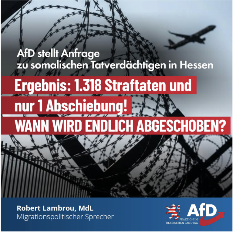 AfD AfD stellt Anfrage zu somalischen Tatverdächtigen in Hessen Ergebnis: 1.318 Straftaten und nur 1 Abschiebung! WANN WIRD ENDLICH ABGESCHOBEN?
