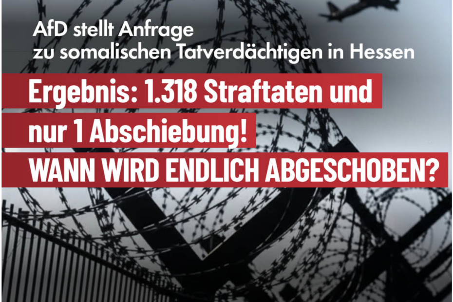 AfD AfD stellt Anfrage zu somalischen Tatverdächtigen in Hessen Ergebnis: 1.318 Straftaten und nur 1 Abschiebung! WANN WIRD ENDLICH ABGESCHOBEN?