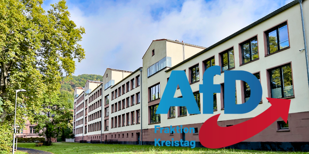 AfD MKK Richterwahl