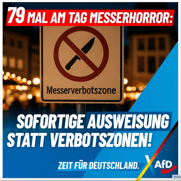 AfD Ausweisung statt Verbotszonen