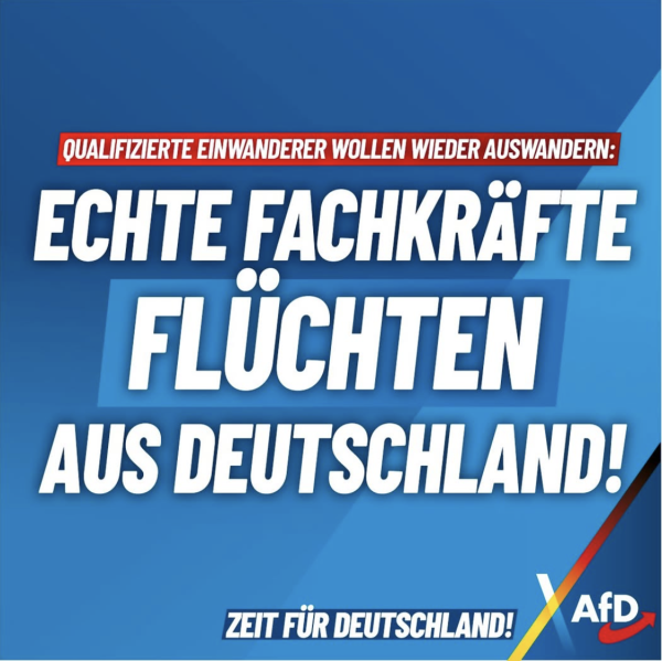 AfD Fachkräfte flüchten aus Deutschland